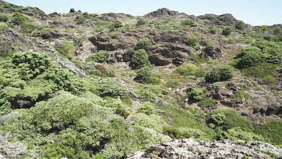 Нудисты нашли укромный пляж для перепиха