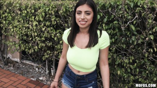 За бабло обалденная брюнетка дала пикаперу трахнуть себя прямо на улице