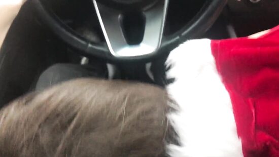 Опасный новогодний подарок за рулем