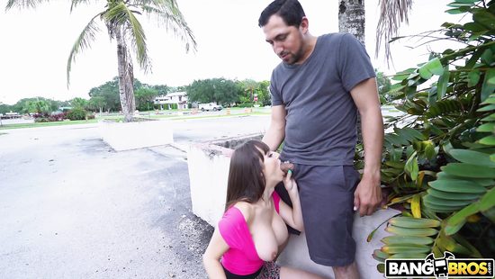 Случайный прохожий не отказался трахнуть длинноногую сучку на улице