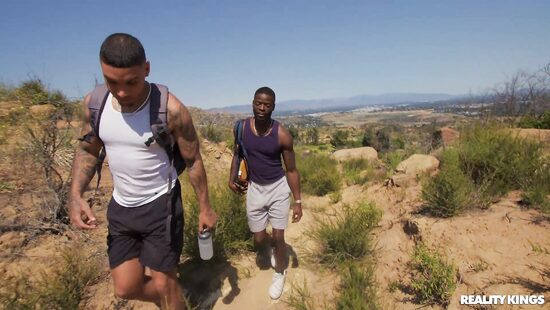 В квартире такое не замутишь