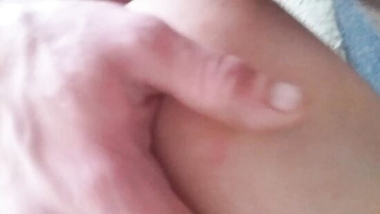 Света Проводница