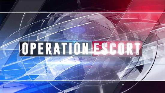 Чтобы родители не узнали о её работе проститутка дала офицеру