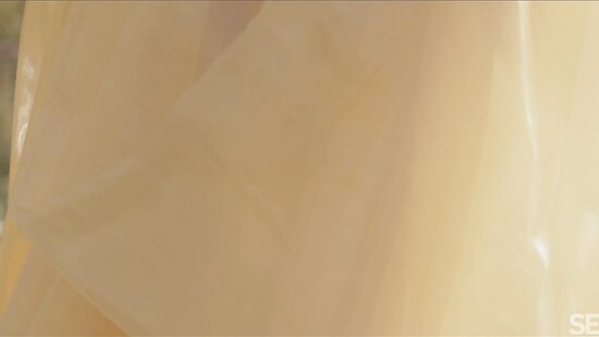 Времена года: Лето