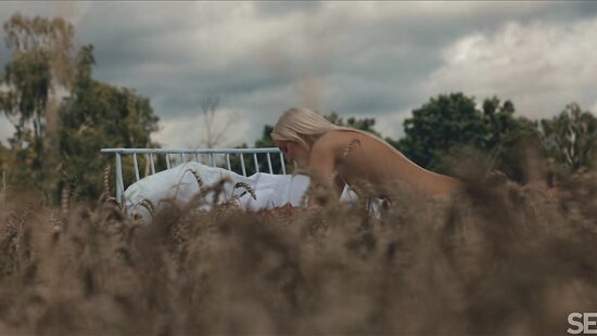 Времена года: Лето