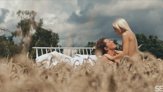 Времена года: Лето