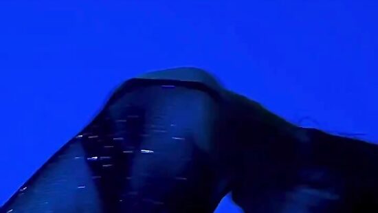 Let my body work it out