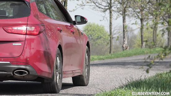 Попутчица согласилась рассчитаться за проезд сексом на природе