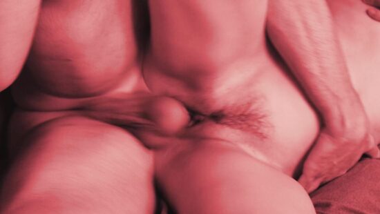 Ловец снов: Анатомик медиа спотлайт