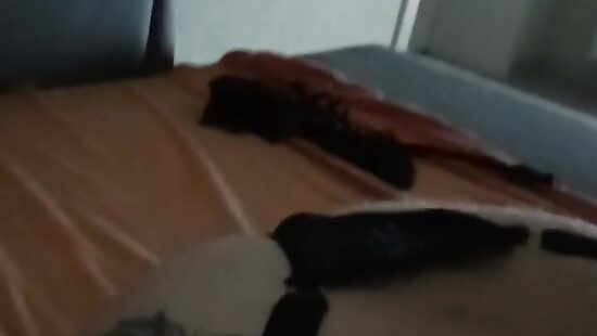 Даю шлюхе в рот