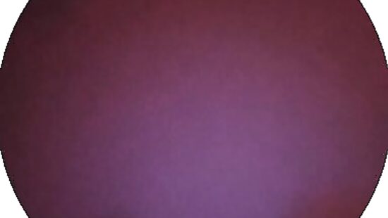 В задницу кому?