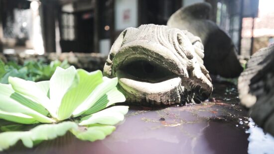 Подземелья и драконы. Глава вторая