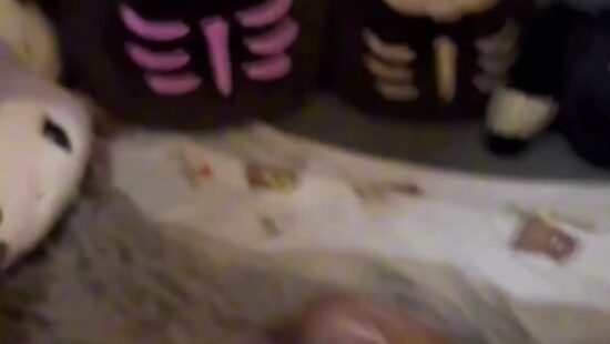 Жестко оттрахал без прилюдий