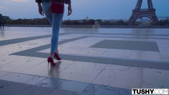 После прогулки по Парижу богатая тёлка дала в жопу личному водителю