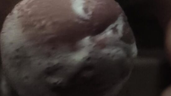 Озверел от голода