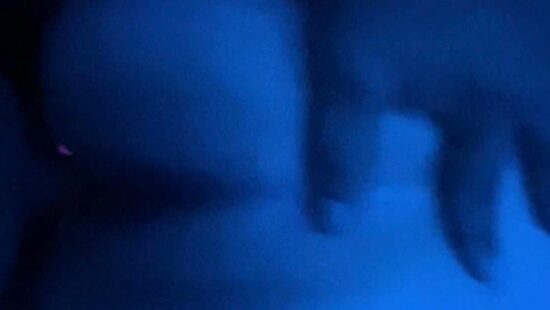 Трахаю булочку