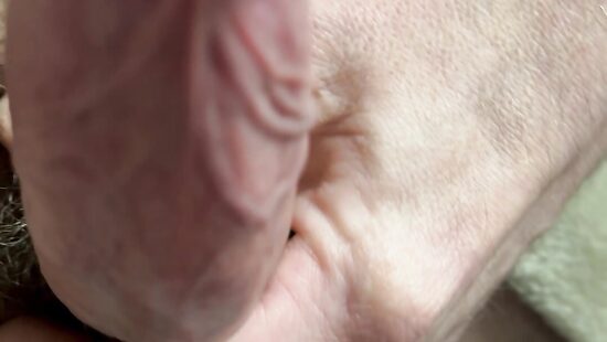 Член на чиле