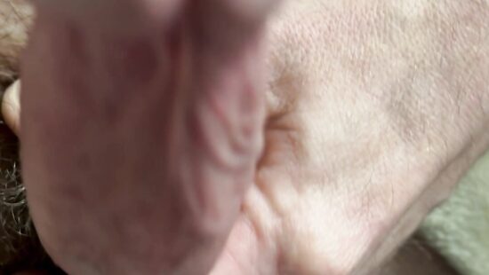 Член на чиле