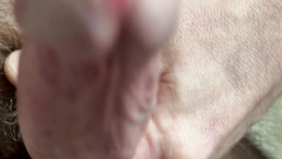 Член на чиле