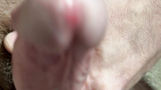 Член на чиле